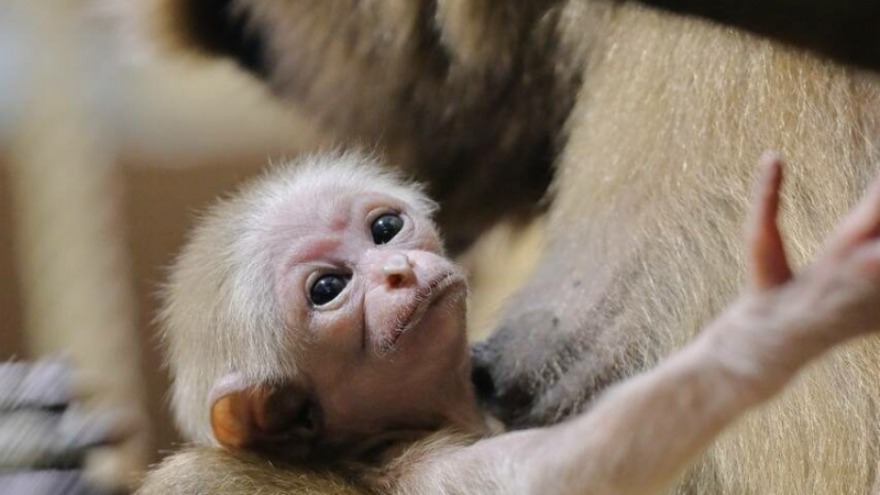 Добрые новости недели Добрые новости недели